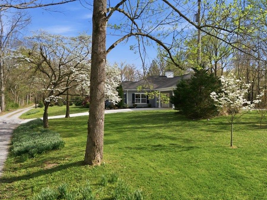 Property Image 50
