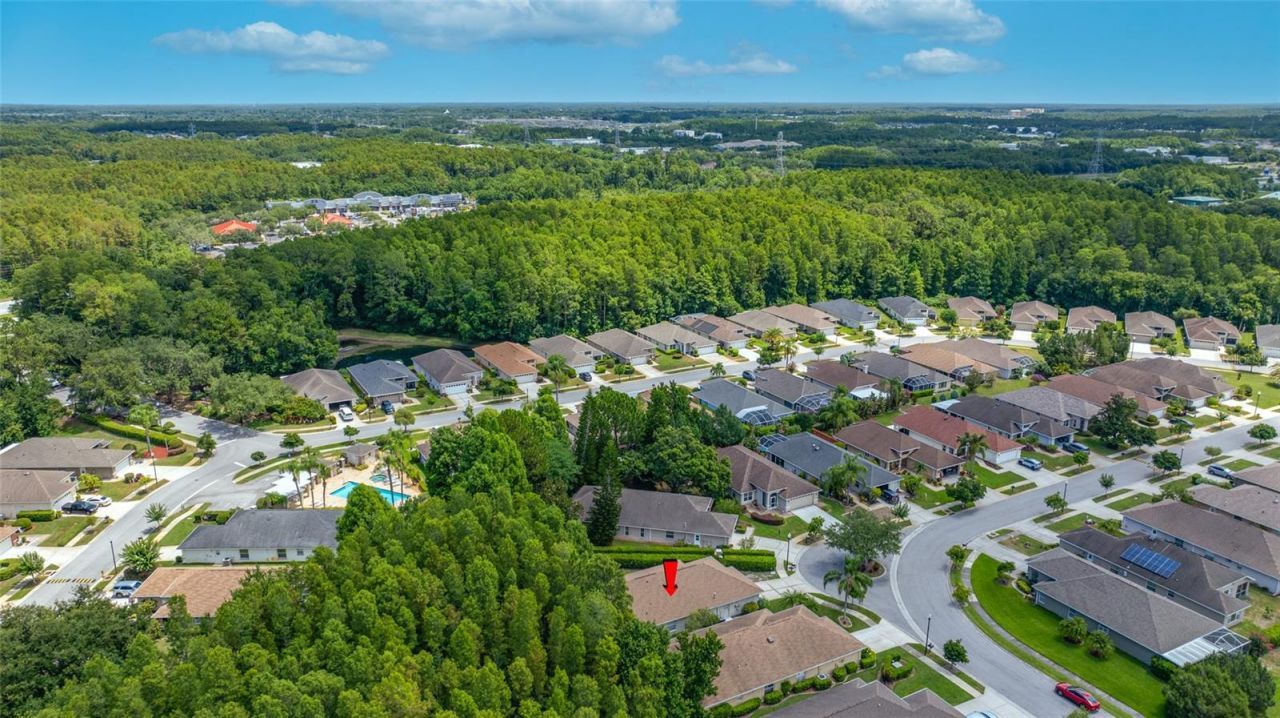 7740 Craighurst Loop , Trinity, FL 34655 Photo