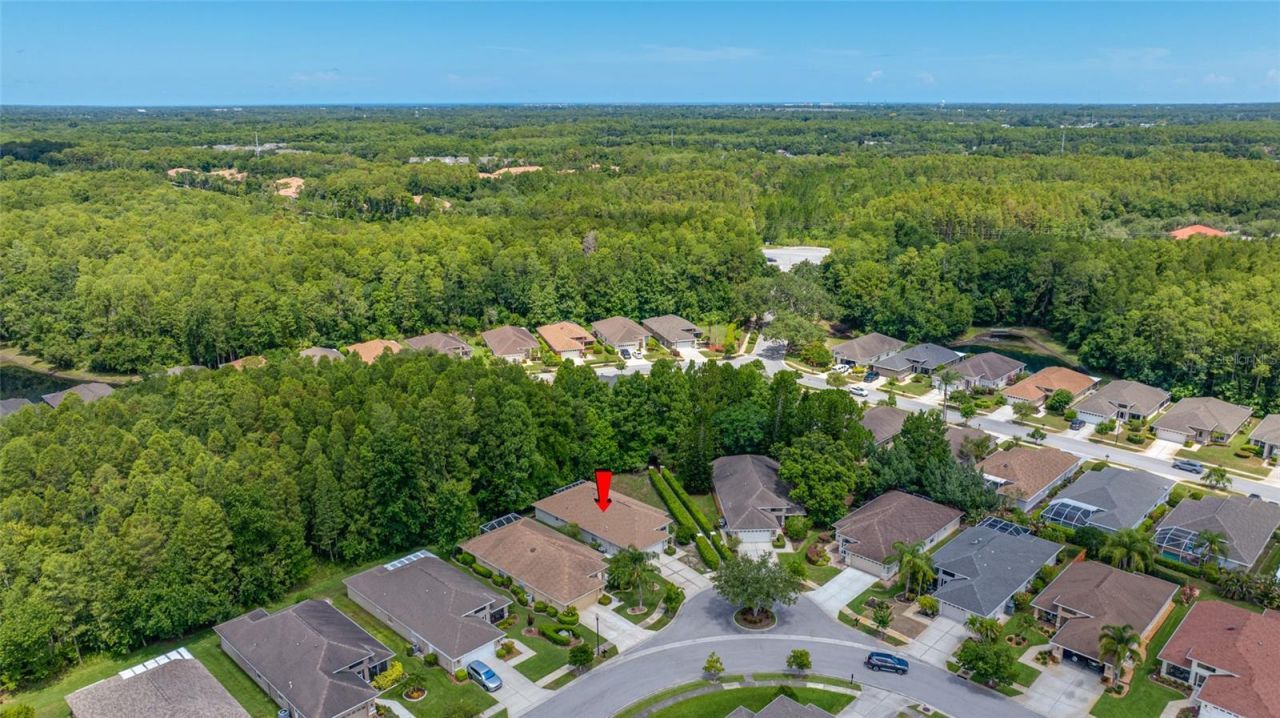 7740 Craighurst Loop , Trinity, FL 34655 Photo