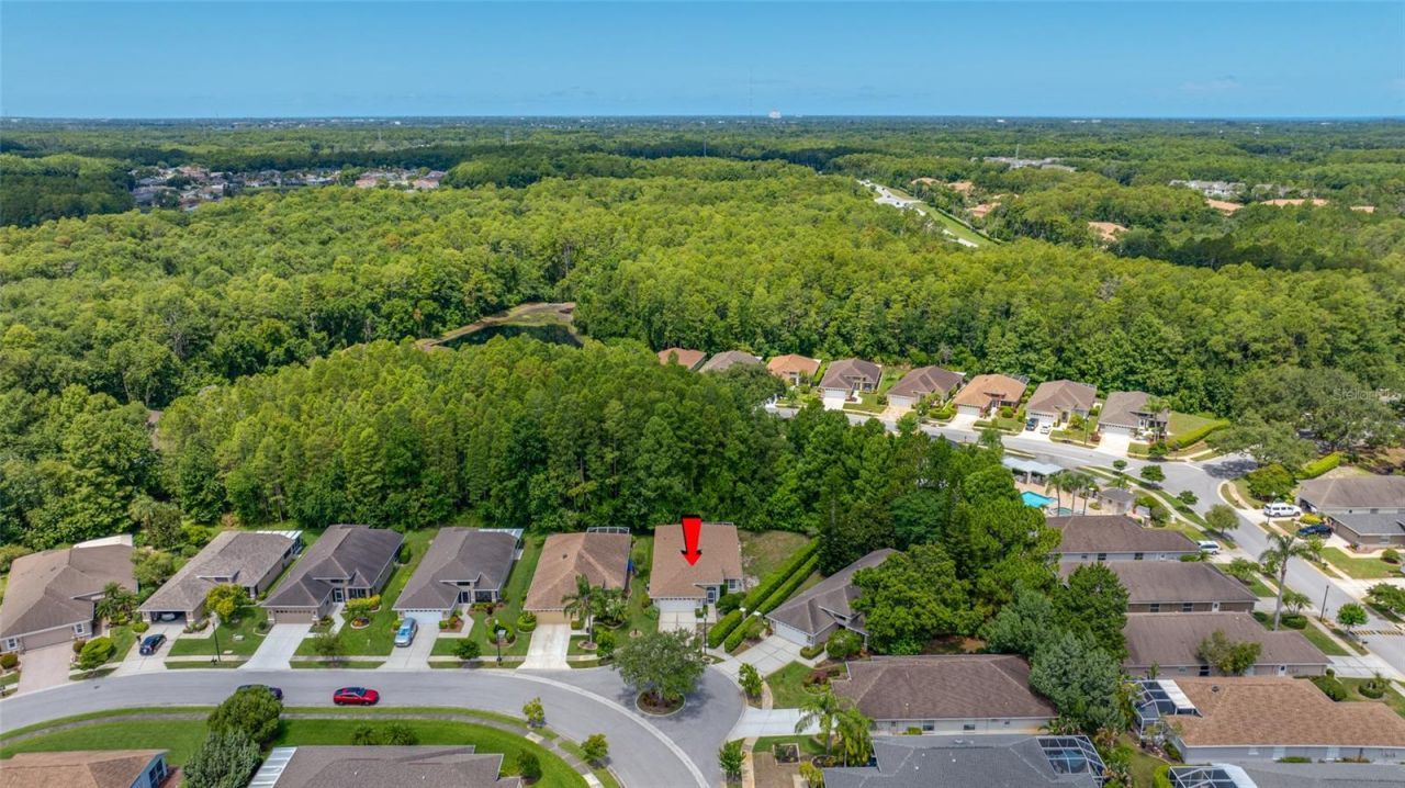 7740 Craighurst Loop , Trinity, FL 34655 Photo
