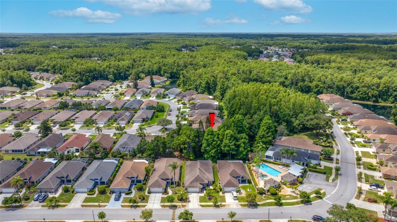 7740 Craighurst Loop , Trinity, FL 34655 Photo