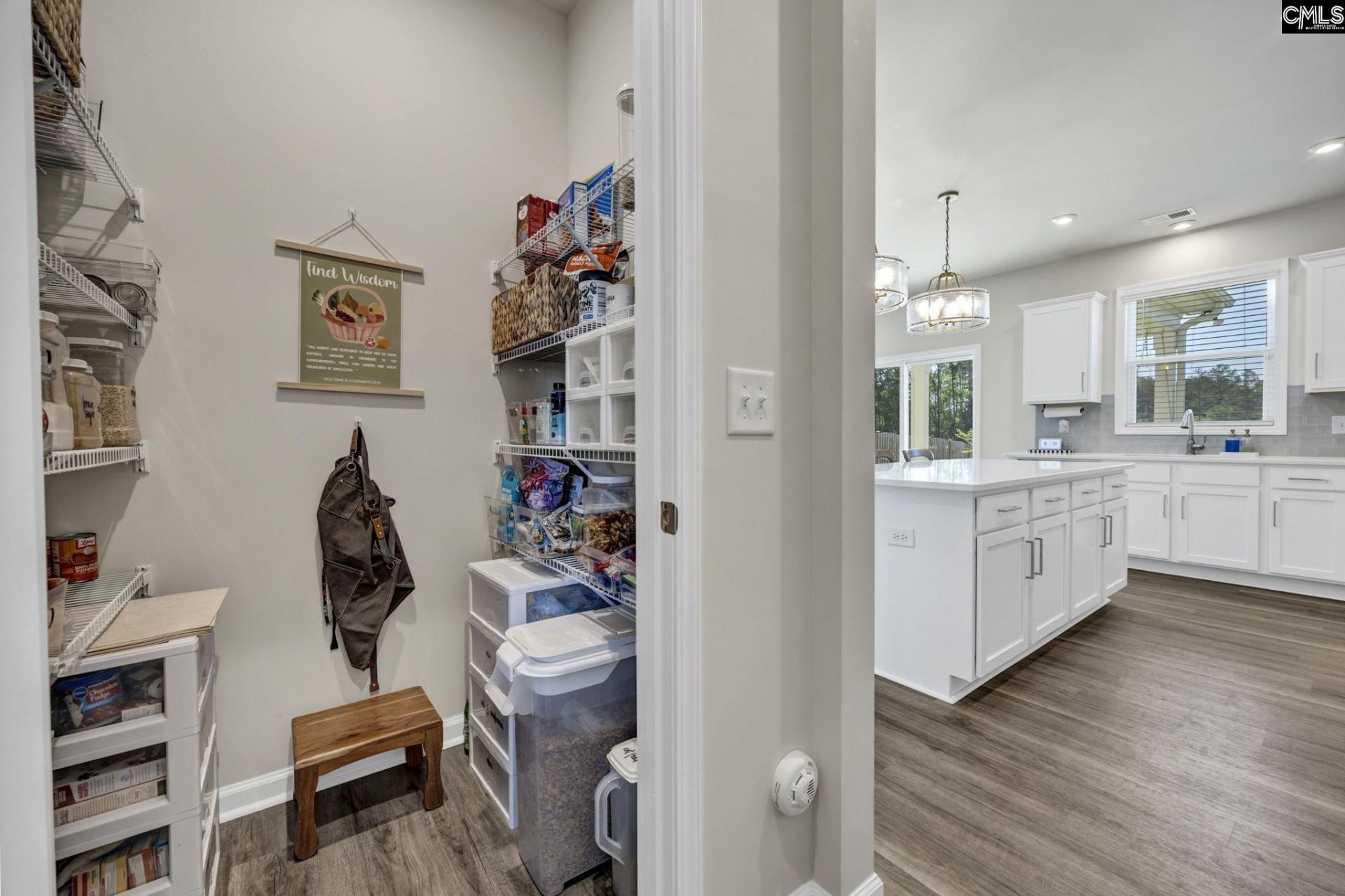 209 Chapin Place Way  Photo 14