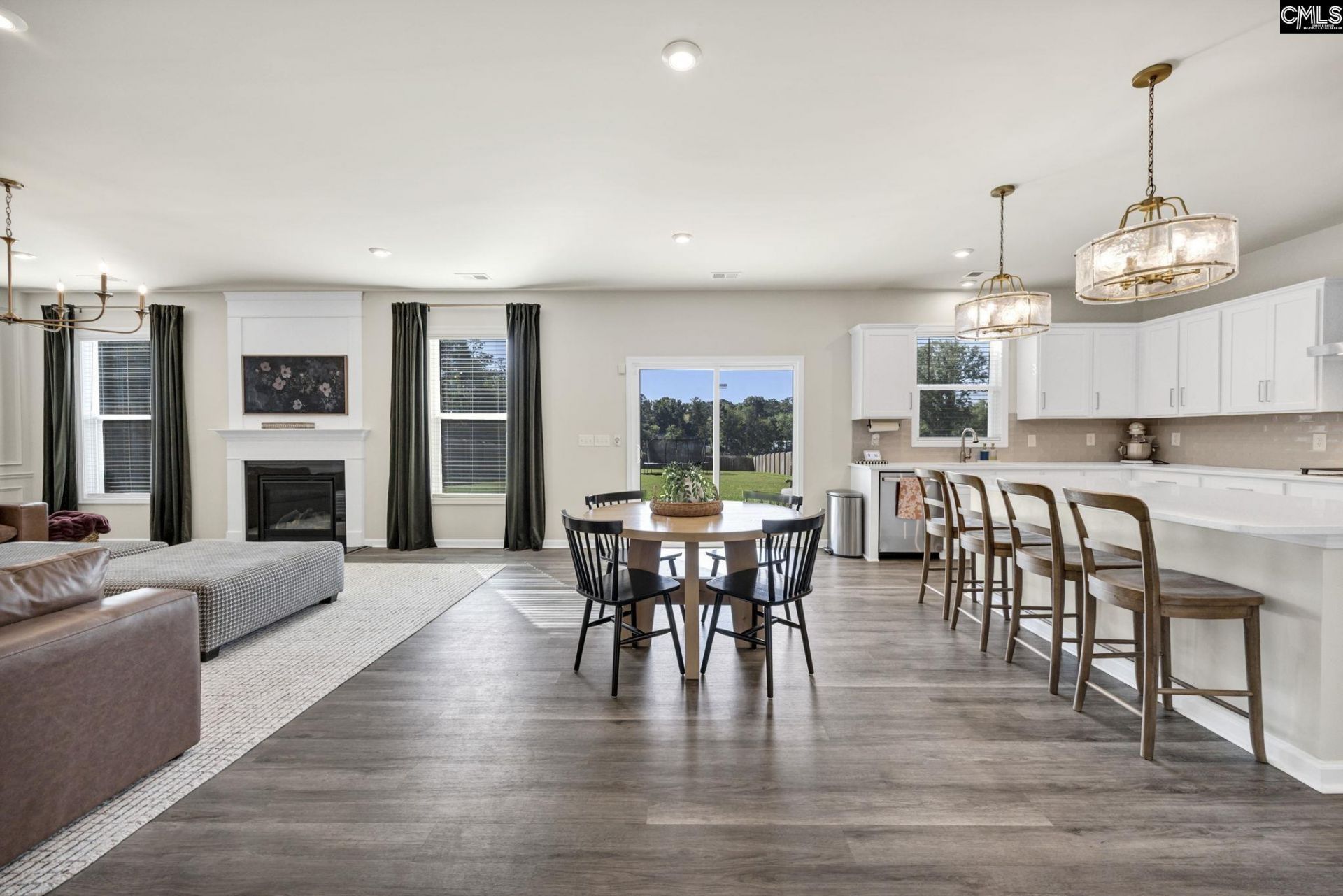 209 Chapin Place Way  Photo 17