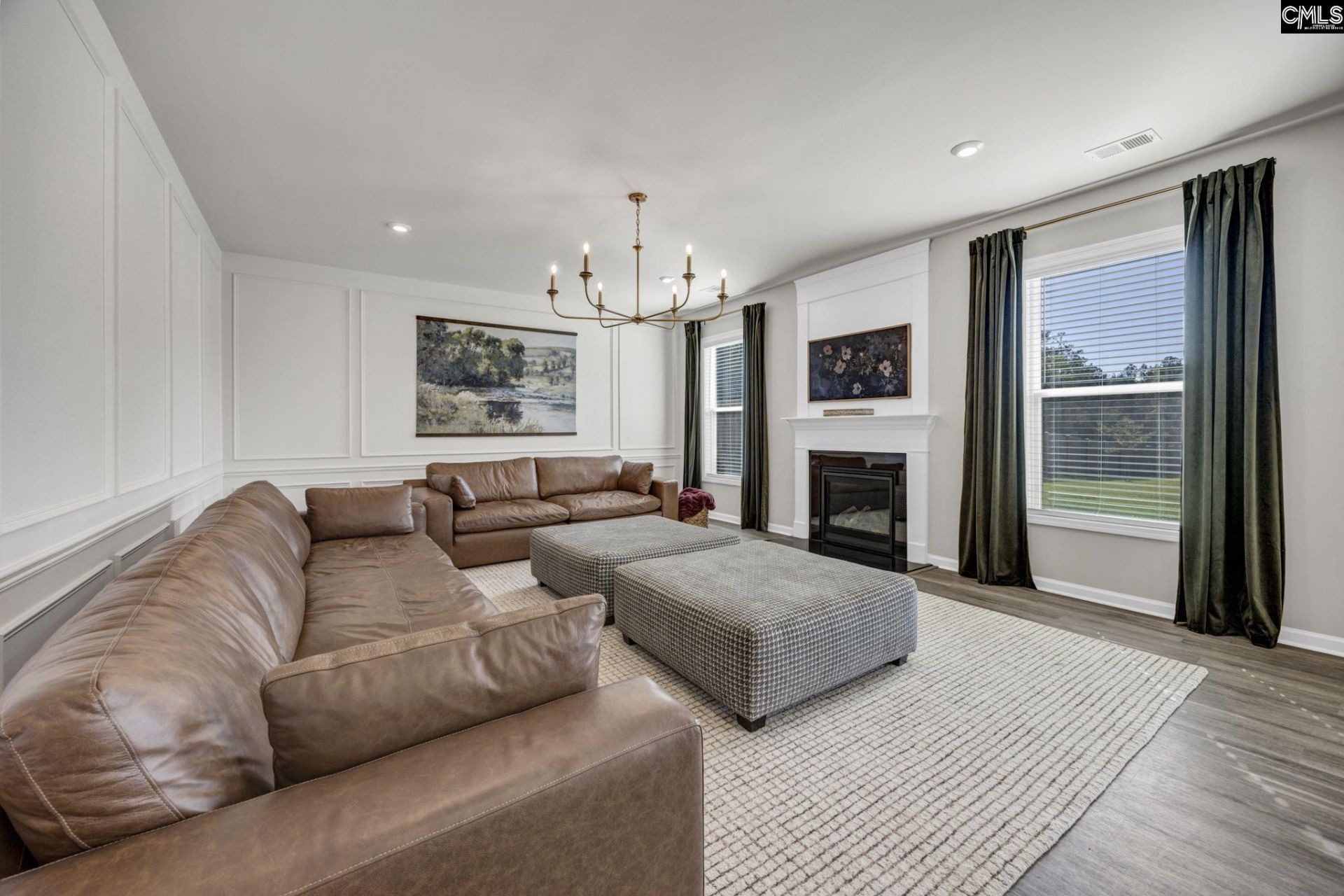 209 Chapin Place Way  Photo 19