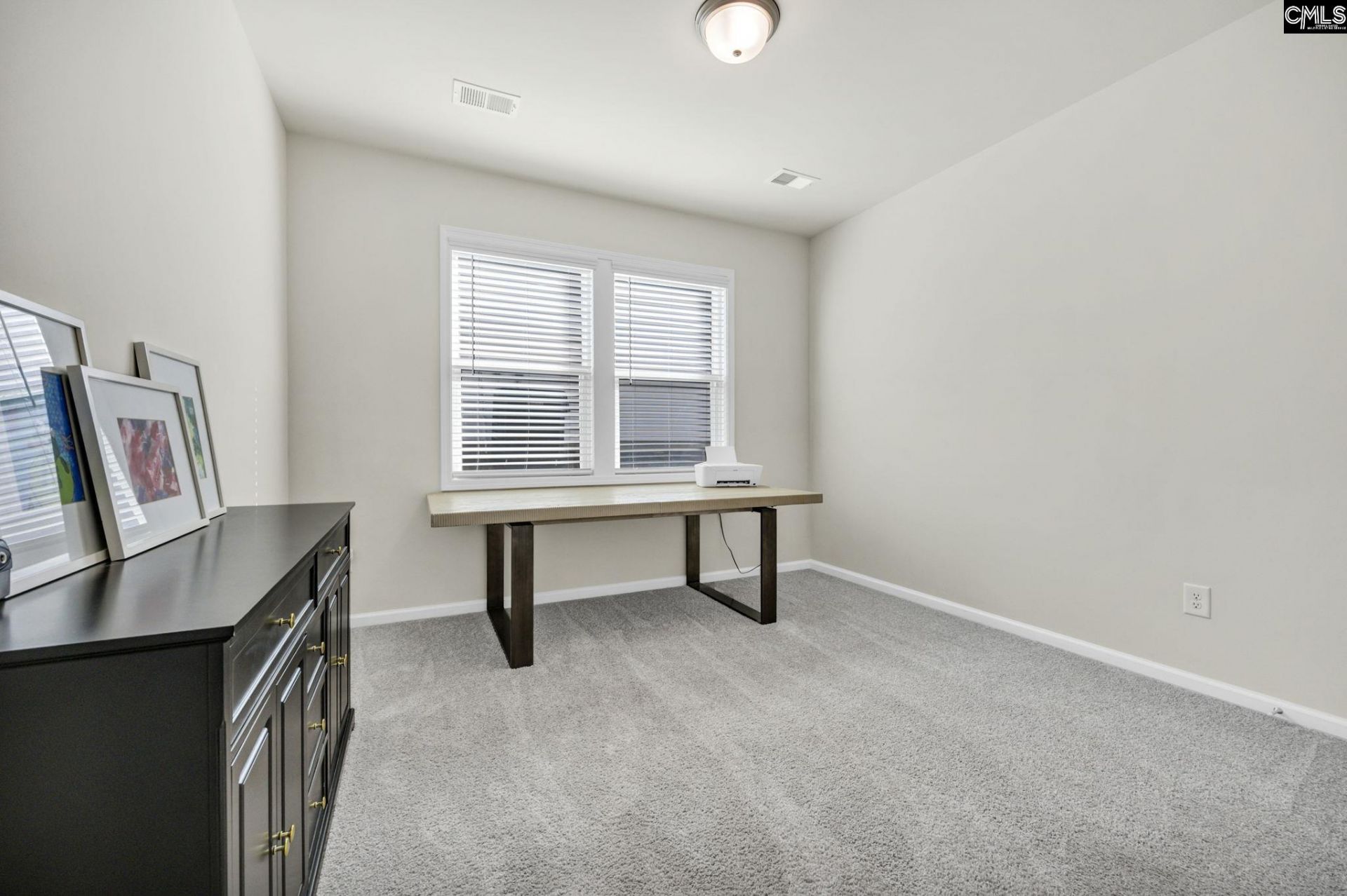 209 Chapin Place Way  Photo 21
