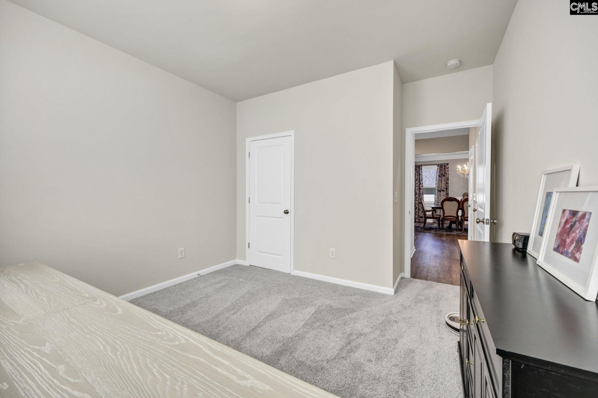 209 Chapin Place Way  Photo 22