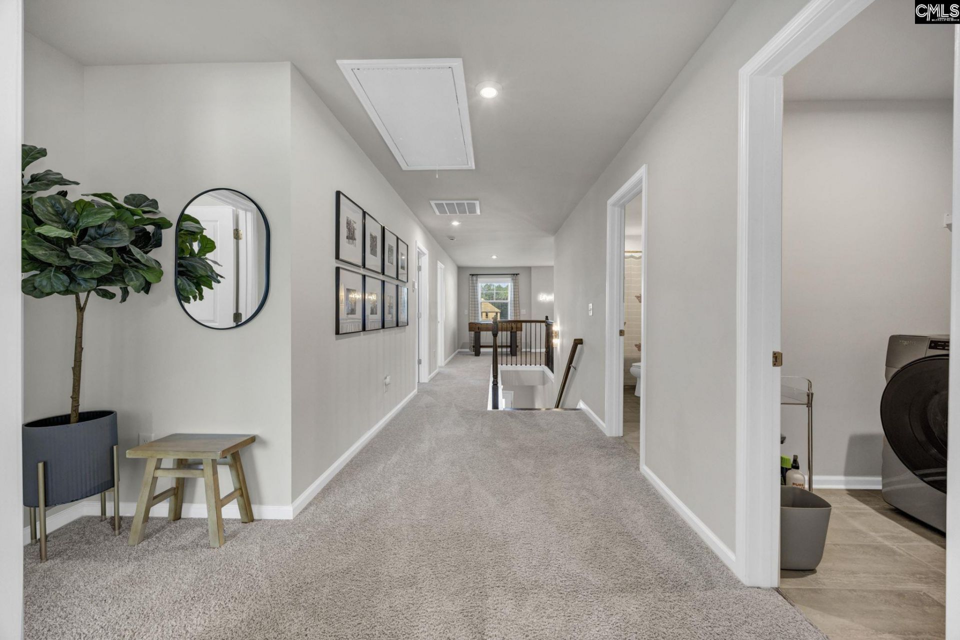209 Chapin Place Way  Photo 28