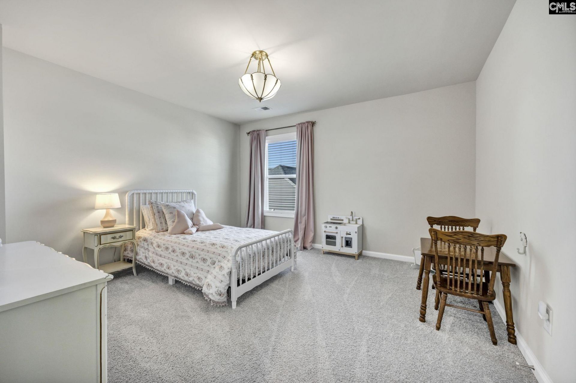 209 Chapin Place Way  Photo 38