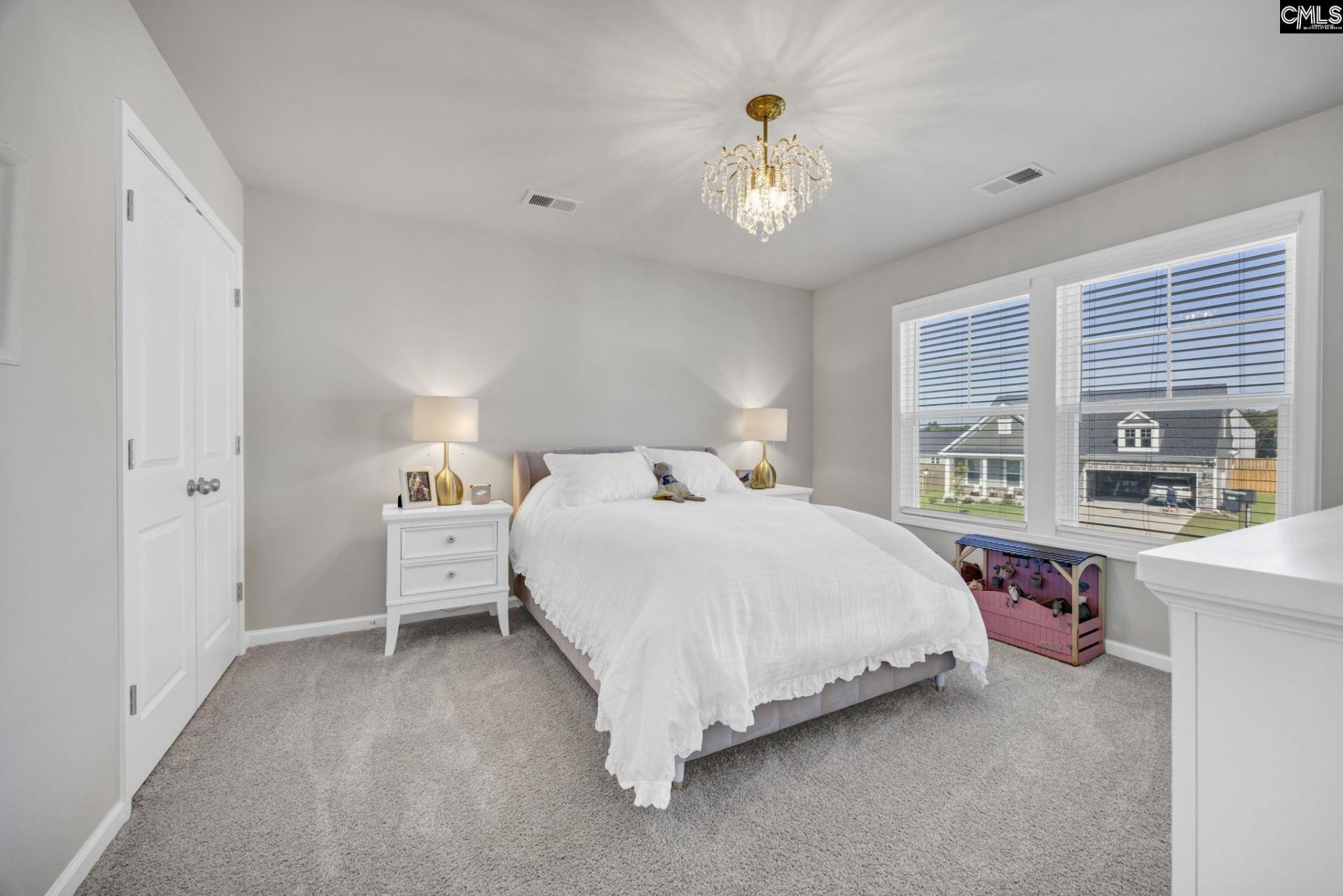 209 Chapin Place Way  Photo 40