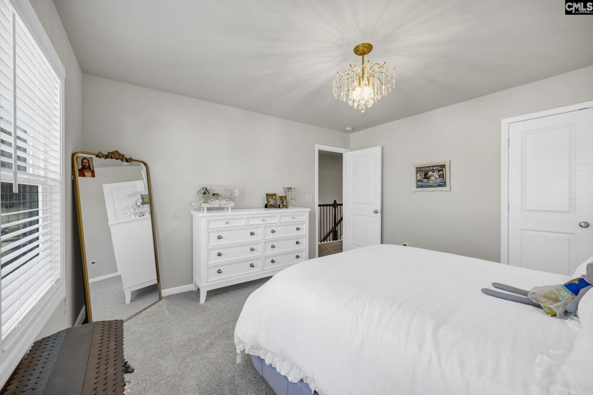 209 Chapin Place Way  Photo 41