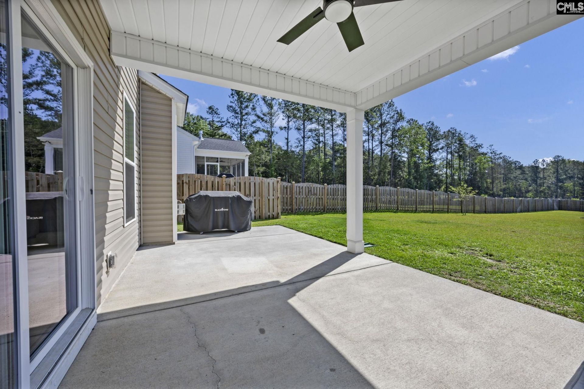209 Chapin Place Way  Photo 45