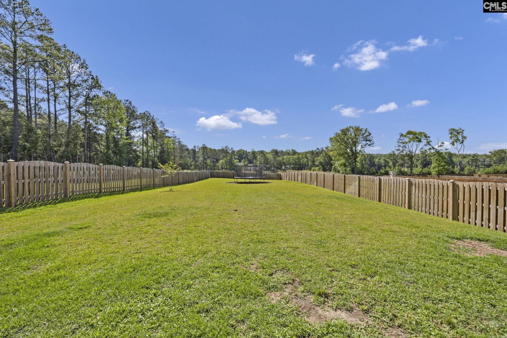 209 Chapin Place Way  Photo 47