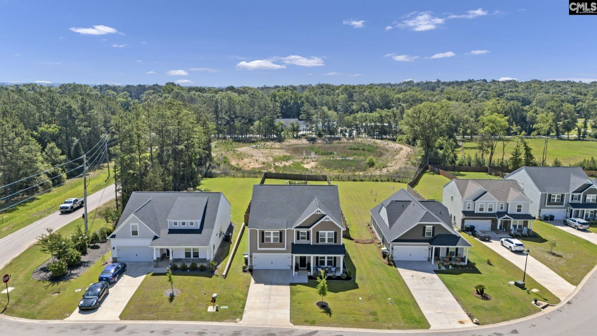 209 Chapin Place Way  Photo 48