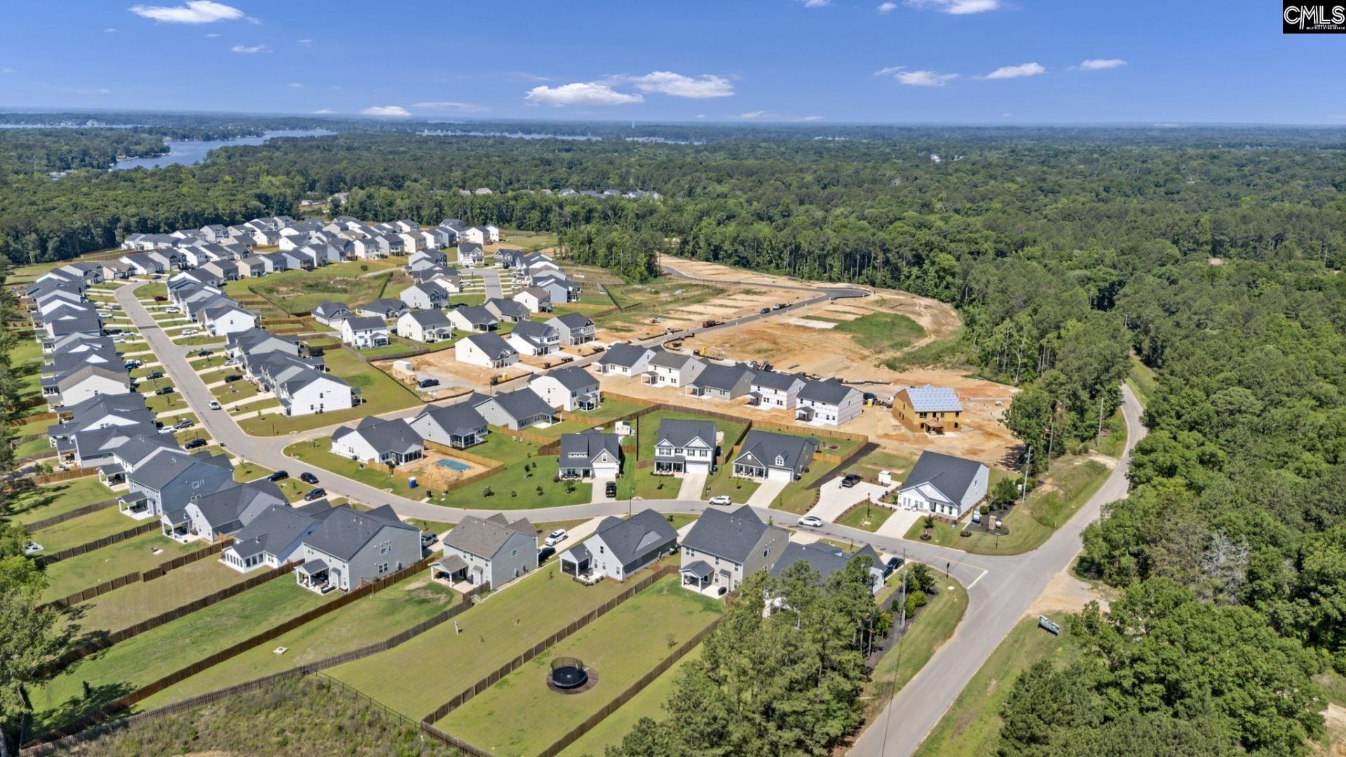209 Chapin Place Way  Photo 49