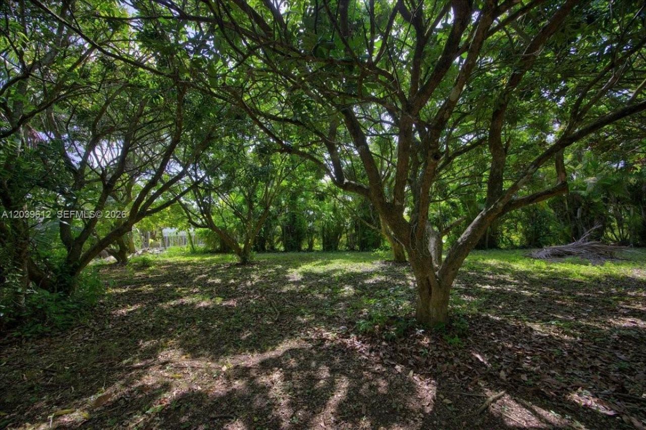26155 SW 193rd Ave , Homestead, FL 33031 Photo