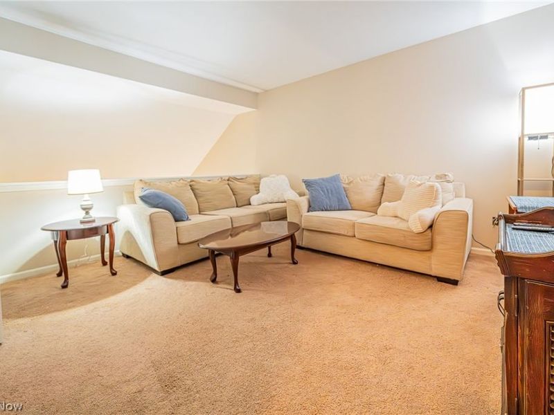 786 N Creek Drive, Unit 786, Painesville, OH 44077 Photo 22