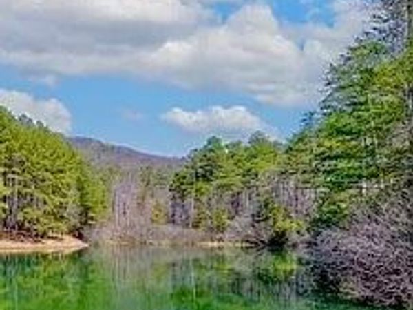 0 Golden Delicious Road, Clarkesville, GA 30523
