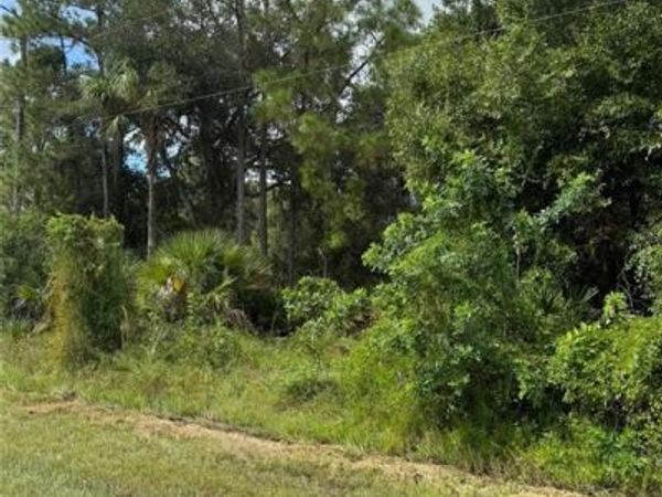 530 S Granja ST , CLEWISTON, FL 33440
