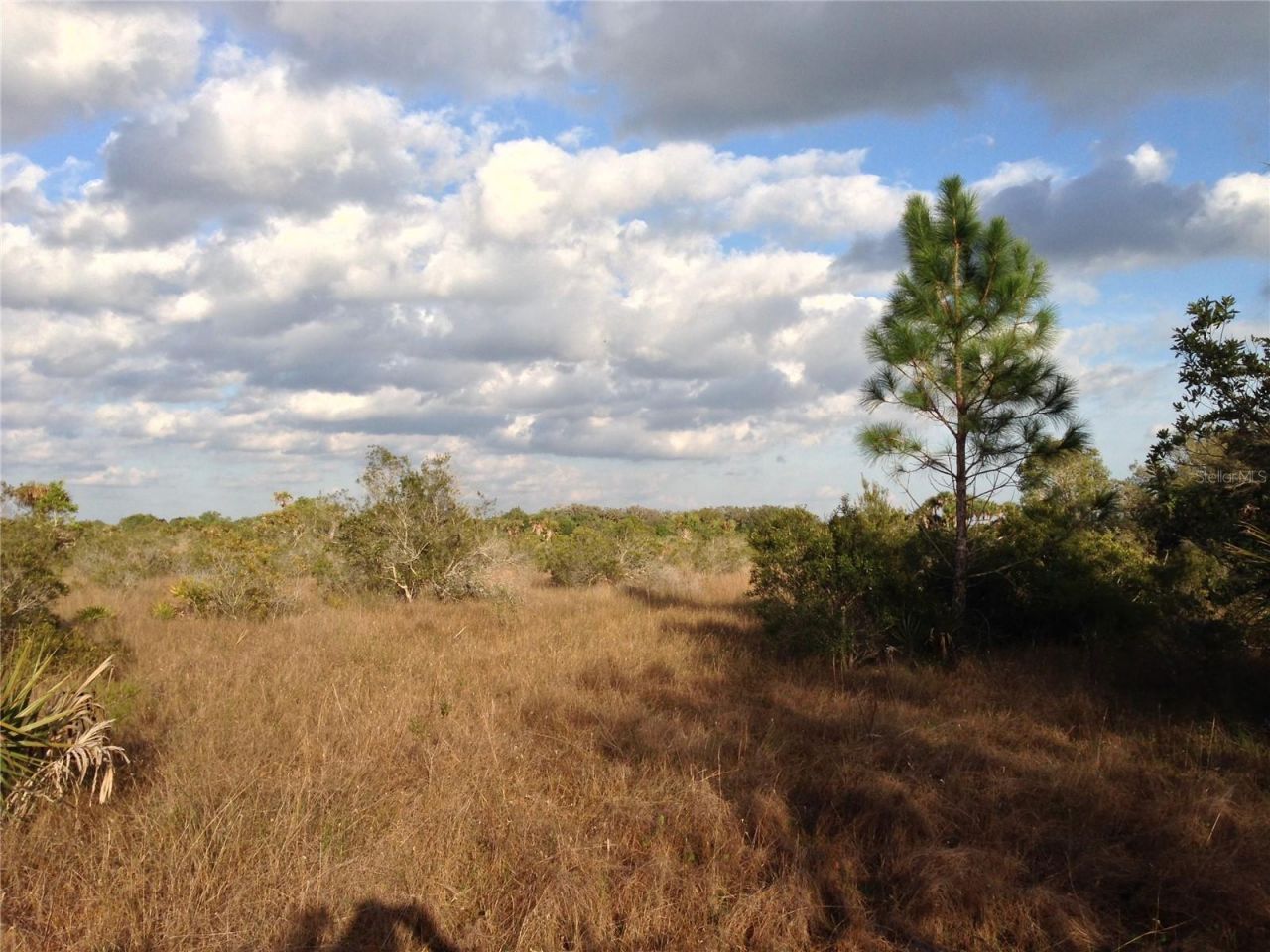 50670 Bermont Road , Punta Gorda, FL 33982 Photo