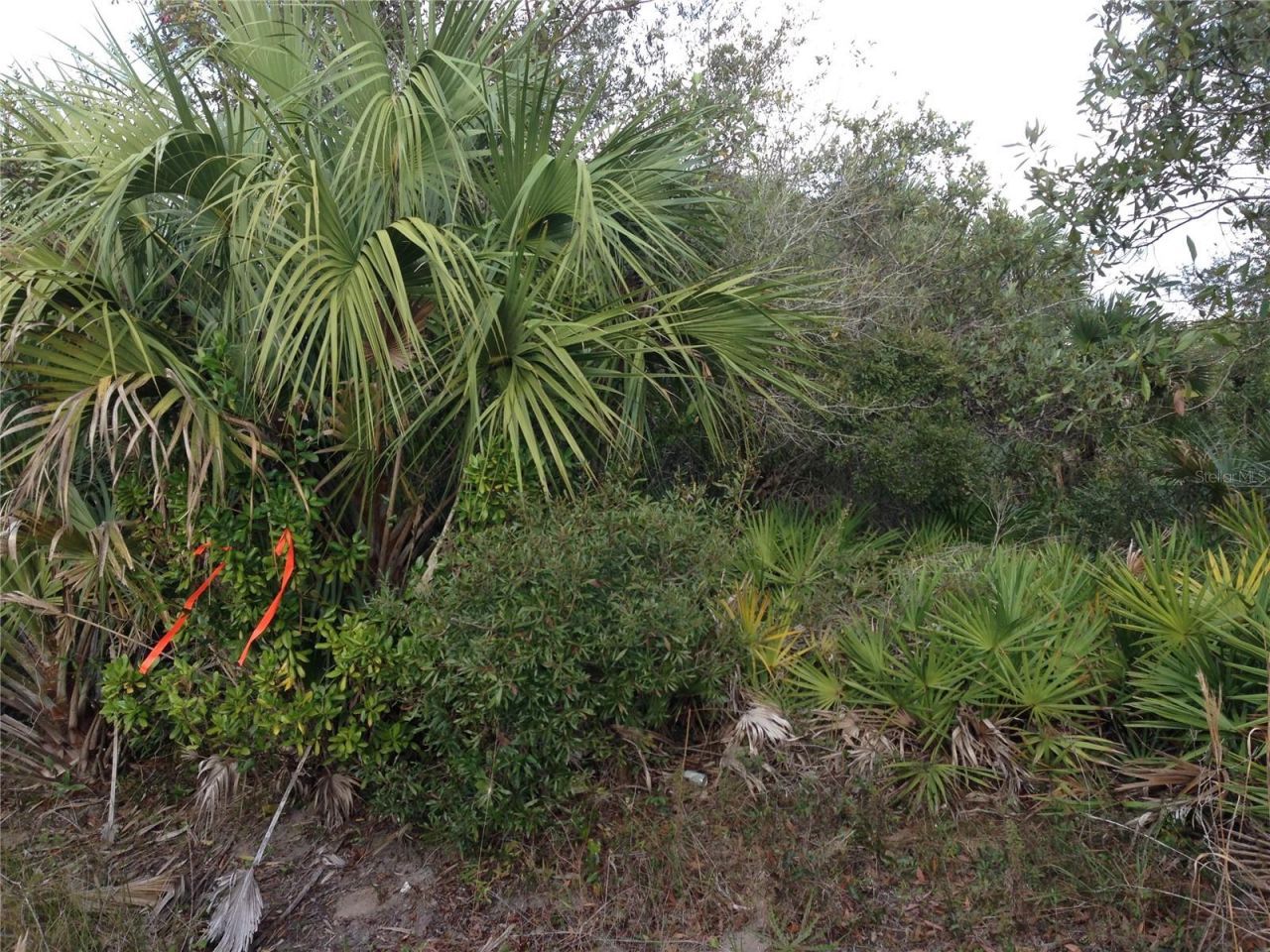50670 Bermont Road , Punta Gorda, FL 33982 Photo