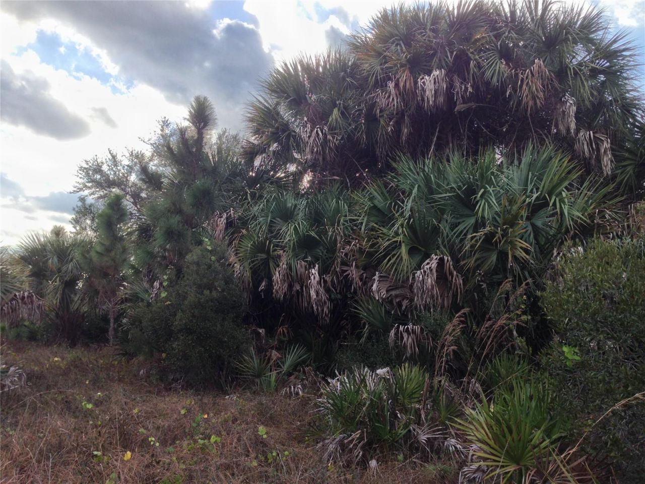 50670 Bermont Road , Punta Gorda, FL 33982 Photo