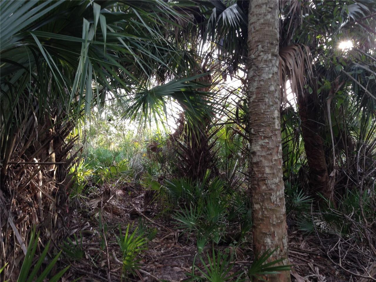 50670 Bermont Road , Punta Gorda, FL 33982 Photo