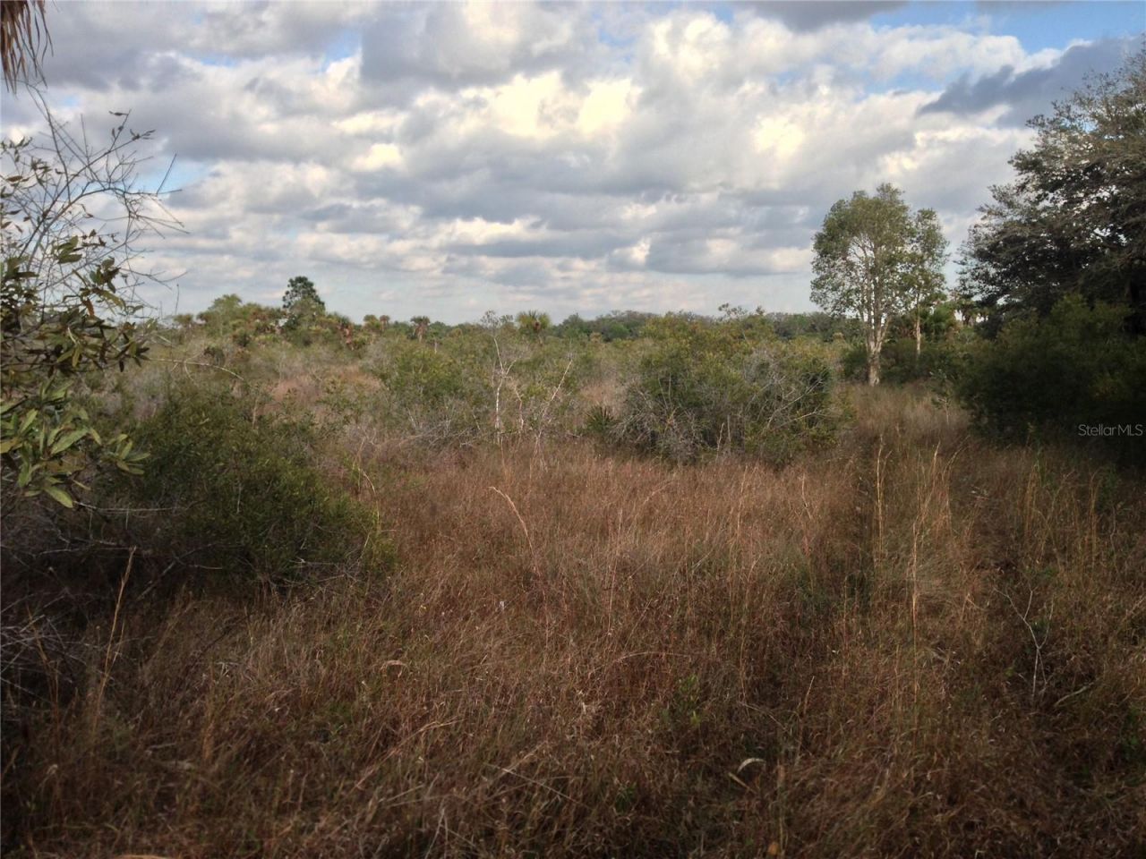 50670 Bermont Road , Punta Gorda, FL 33982 Photo