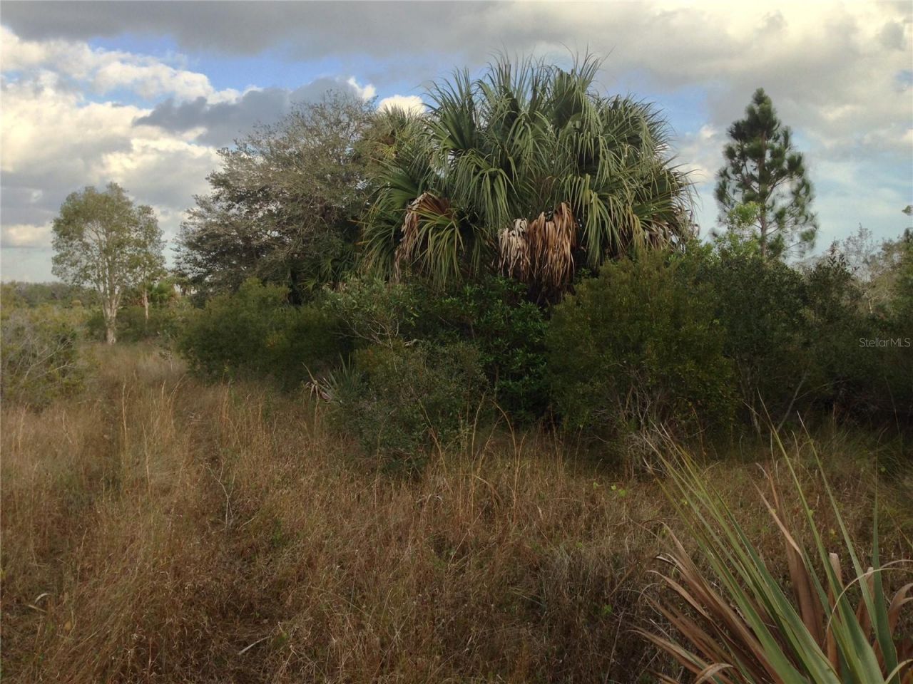 50670 Bermont Road , Punta Gorda, FL 33982 Photo