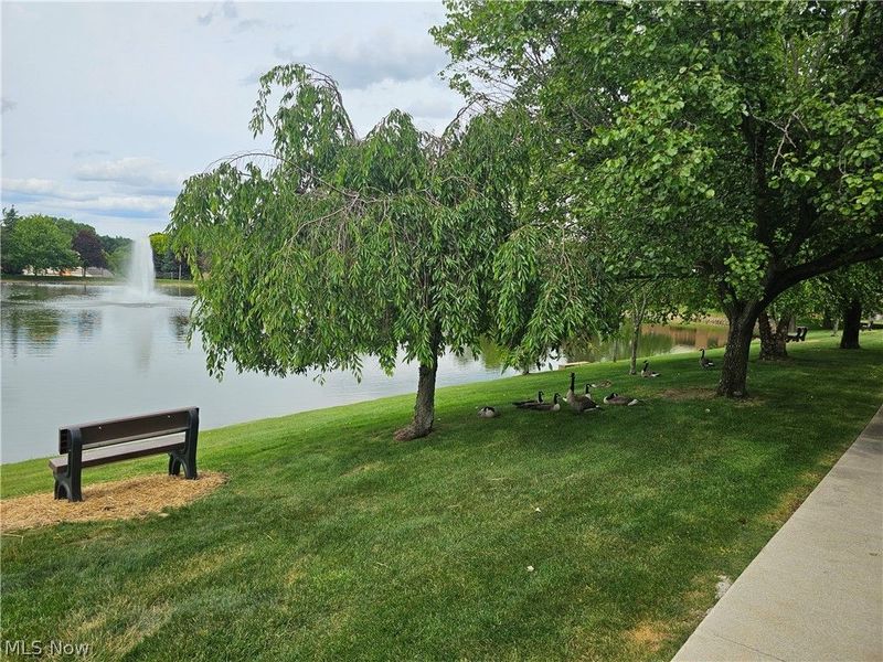 8605 Scenicview Drive , Unit 203, Broadview Heights, OH 44147 Photo 2