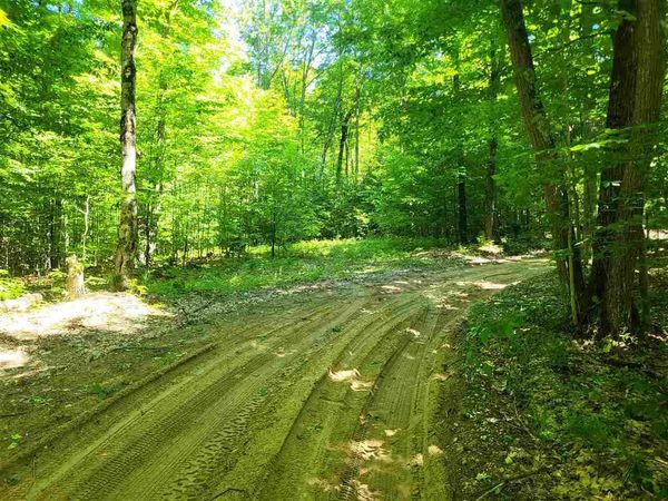 TBD Shumaker Road, Bellaire, MI 49659