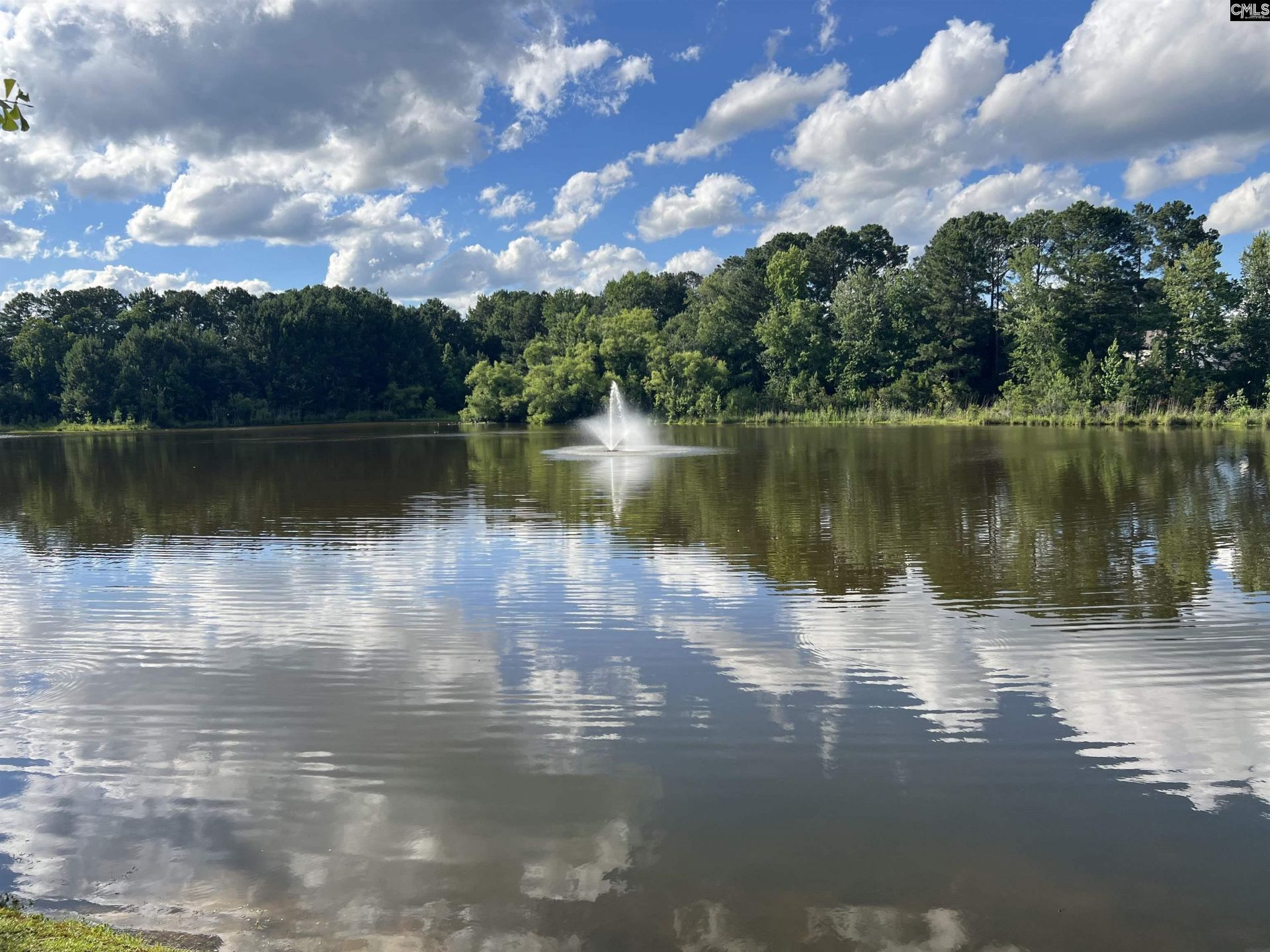 190 Ashewood Lake  Photo 39