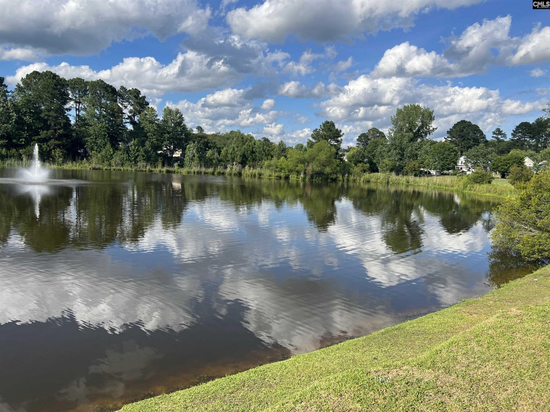 190 Ashewood Lake  Photo 41