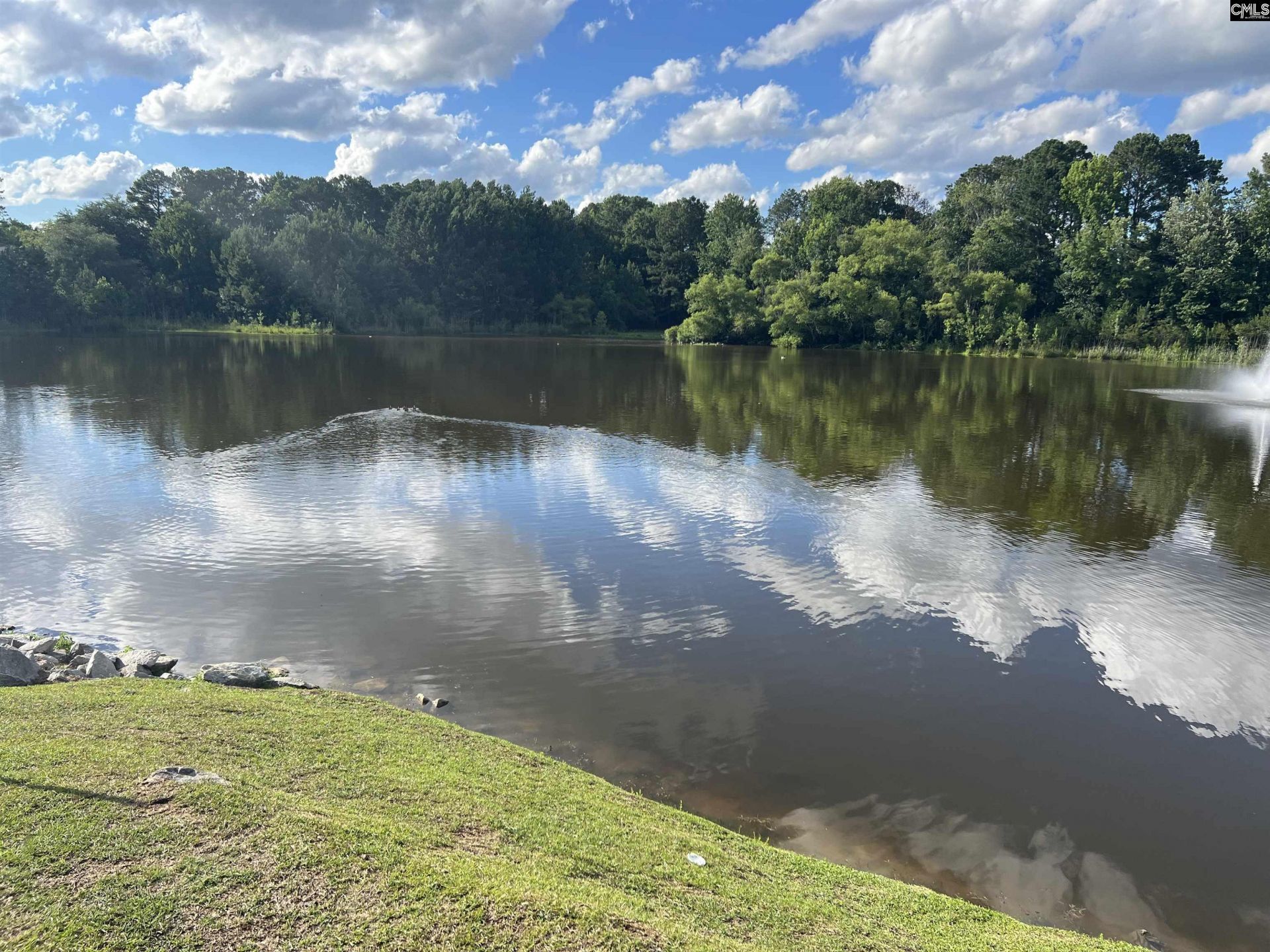 190 Ashewood Lake  Photo 42