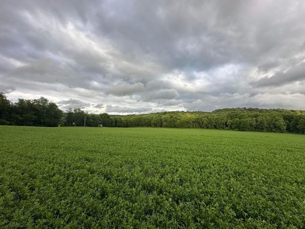 9164 Township Rd 51 , Mount Perry, OH 43760