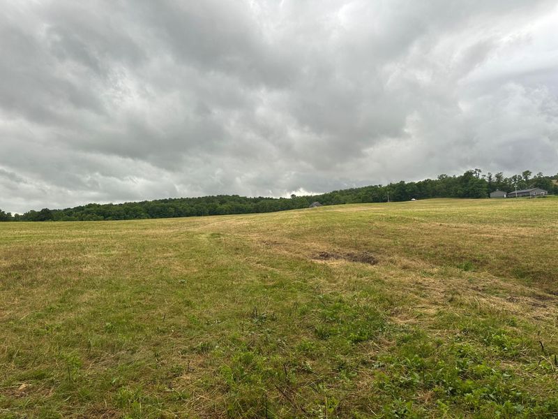9164 Township Rd 51 , Mount Perry, OH 43760 Photo 29