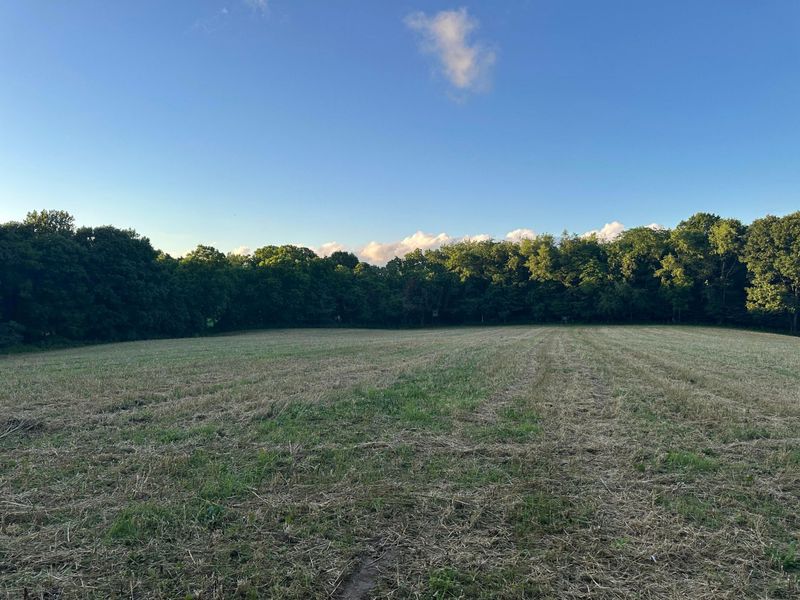 9164 Township Rd 51 , Mount Perry, OH 43760 Photo 7