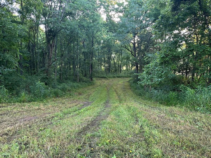 9164 Township Rd 51 , Mount Perry, OH 43760 Photo 8