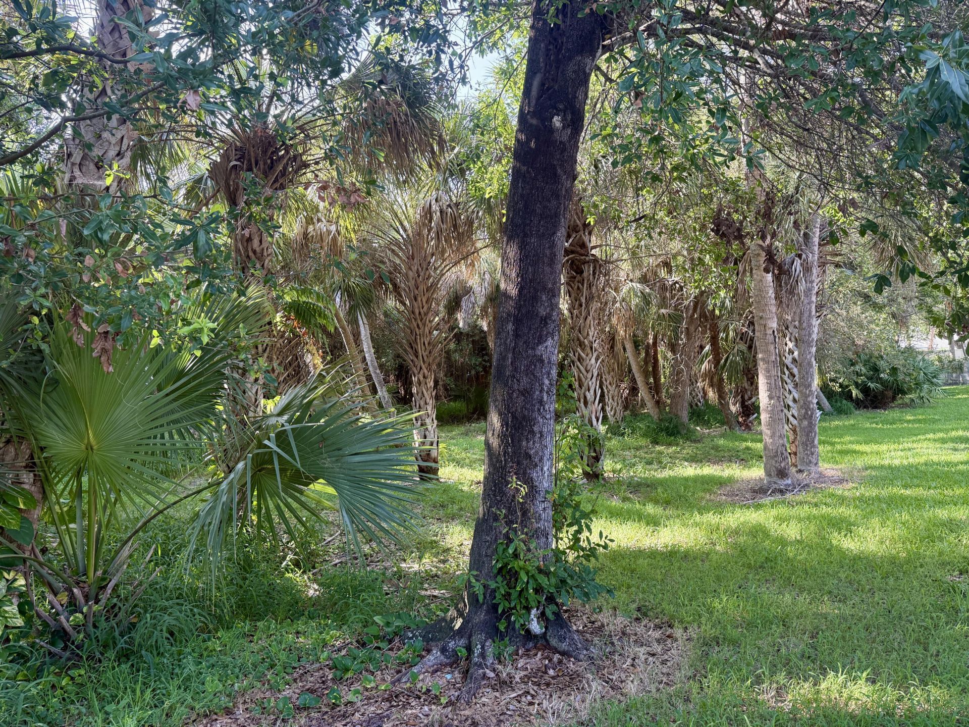 198 Hampton Circle, Jupiter, FL 33458 Photo