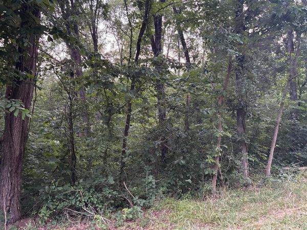 Lot 4 Pig Road , Smiths Grove, KY 42171