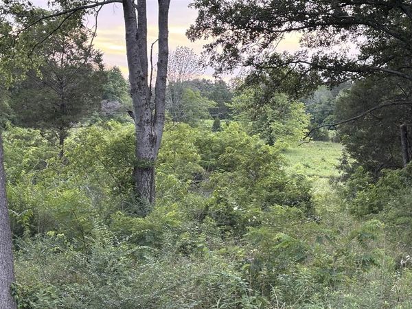 Lot 5 Pig Road , Smiths Grove, KY 42171