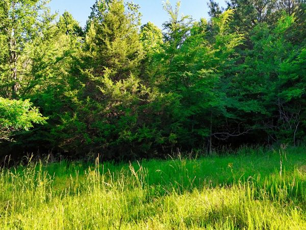 2 Lakewood Lake LN, Huntingdon, TN 38344