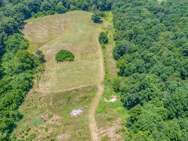 645 Hickory Cove Road, Rogersville, TN 37857