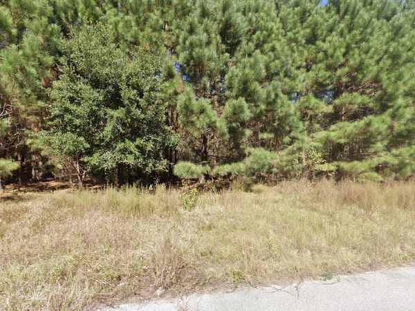 442 Pembroke Blvd. , Johnsonville, SC 29555