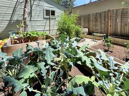 792 Acorn Way, Meadow Vista, CA 95722 Photo
