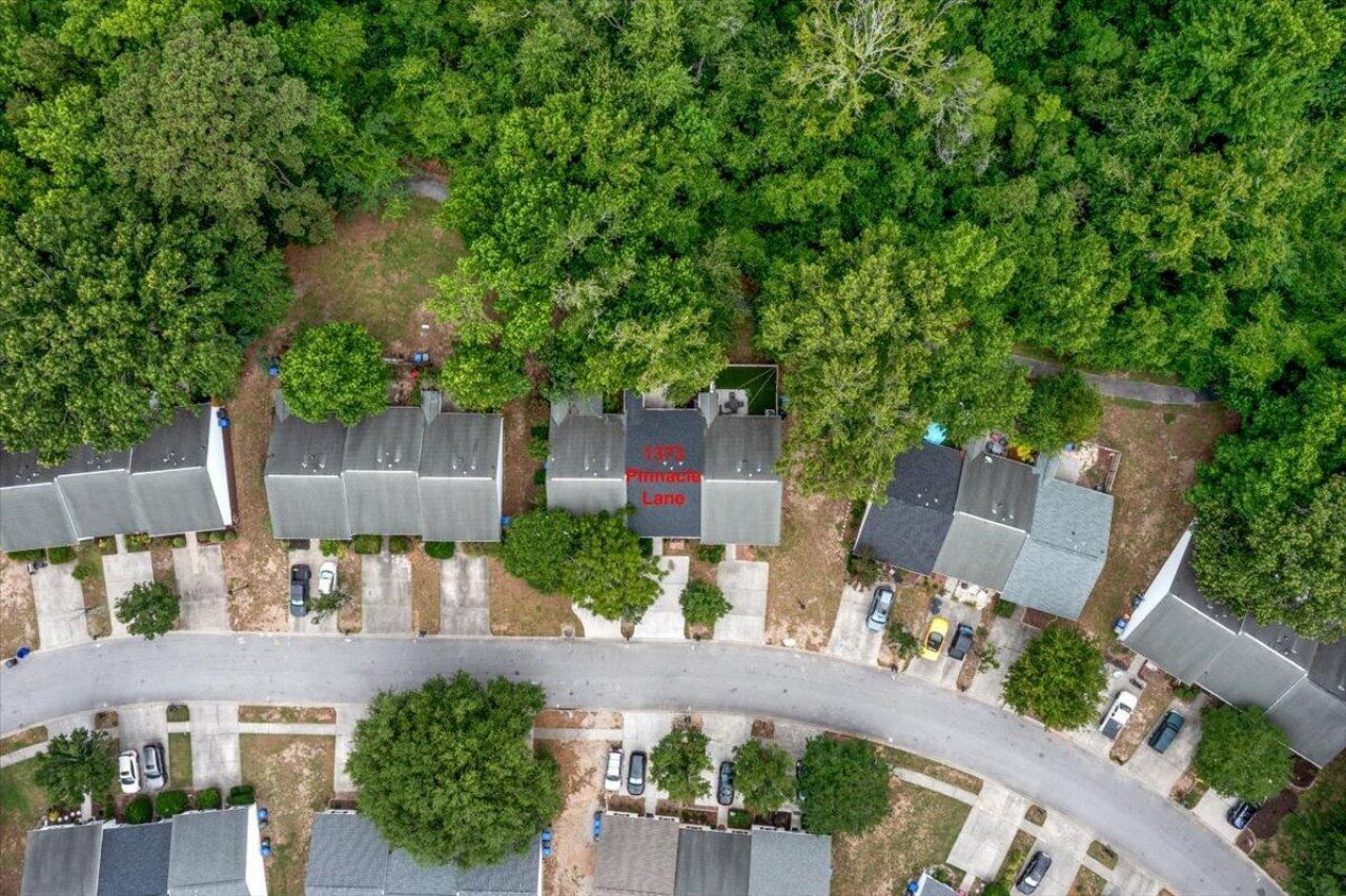 1373 Pinnacle Lane Photo 46