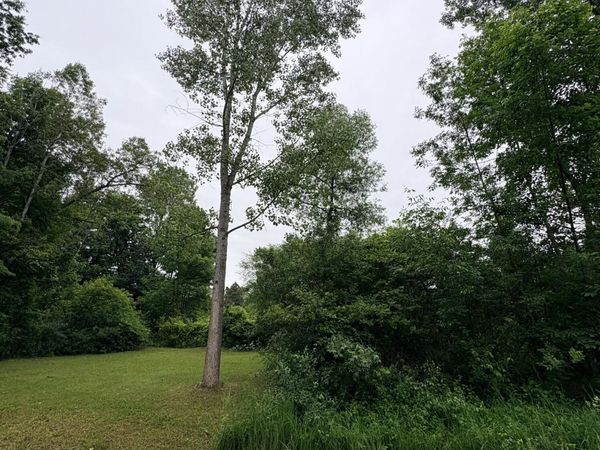 0 Crestview Drive, Laingsburg, MI 48848