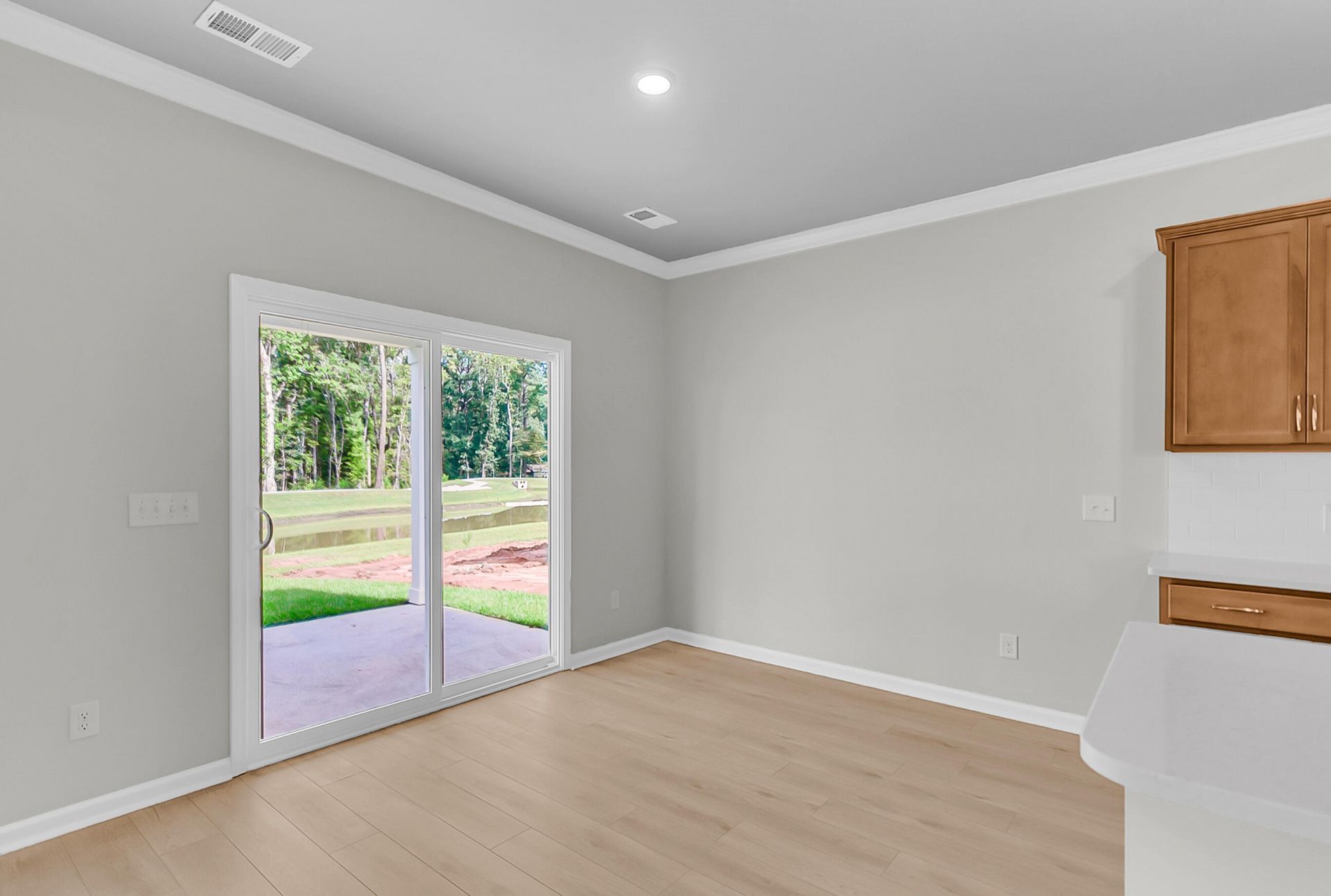 248 Central Creek Drive Photo 12