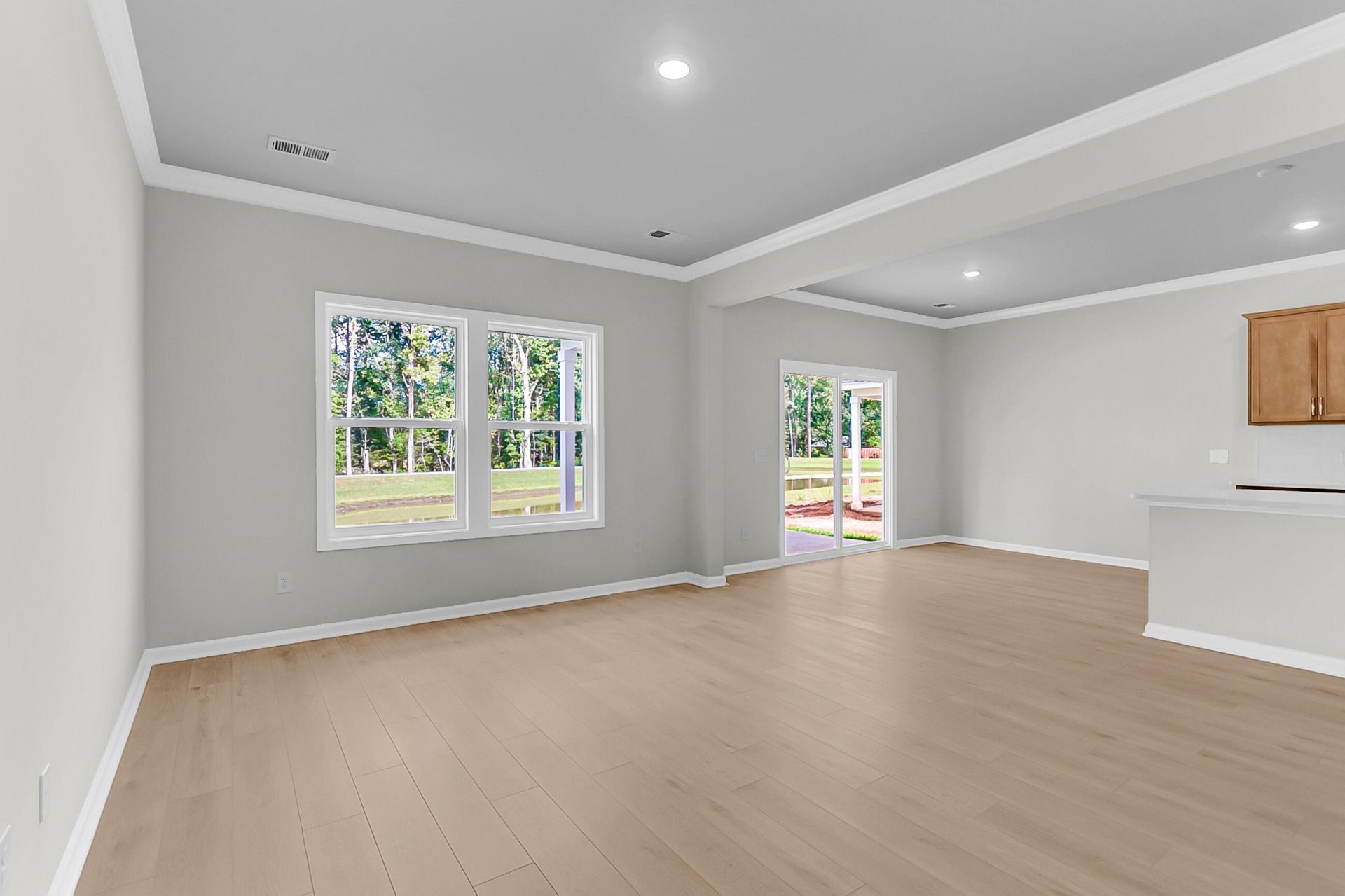 248 Central Creek Drive Photo 14