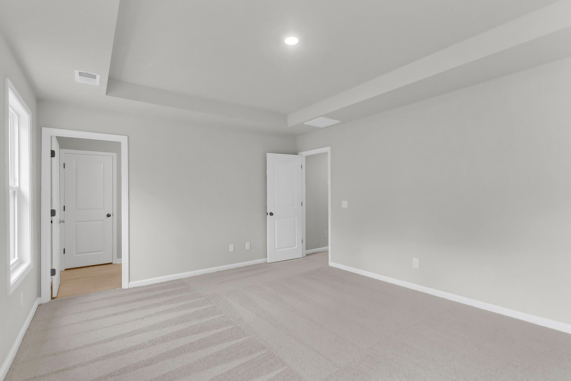 248 Central Creek Drive Photo 21