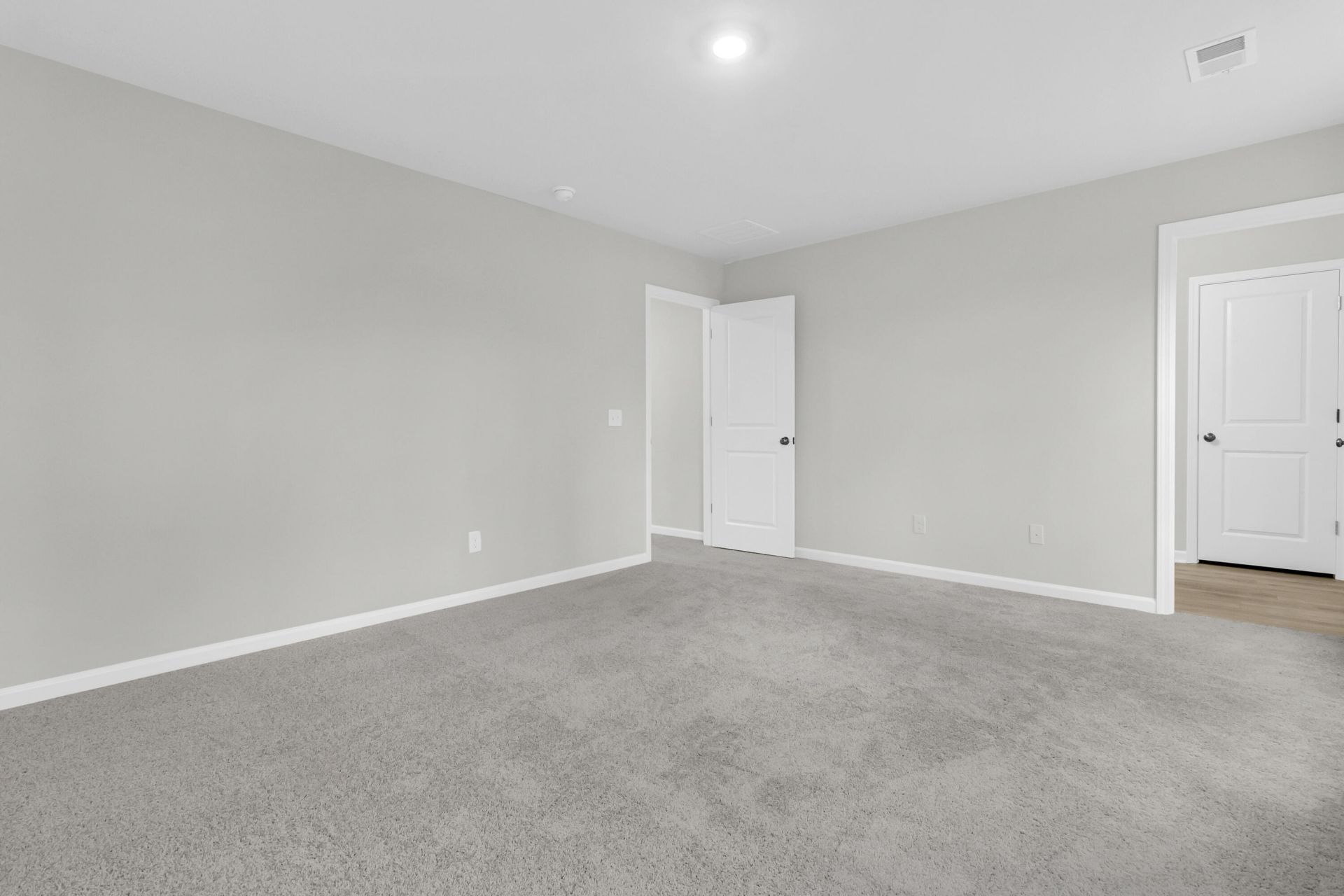 248 Central Creek Drive Photo 37